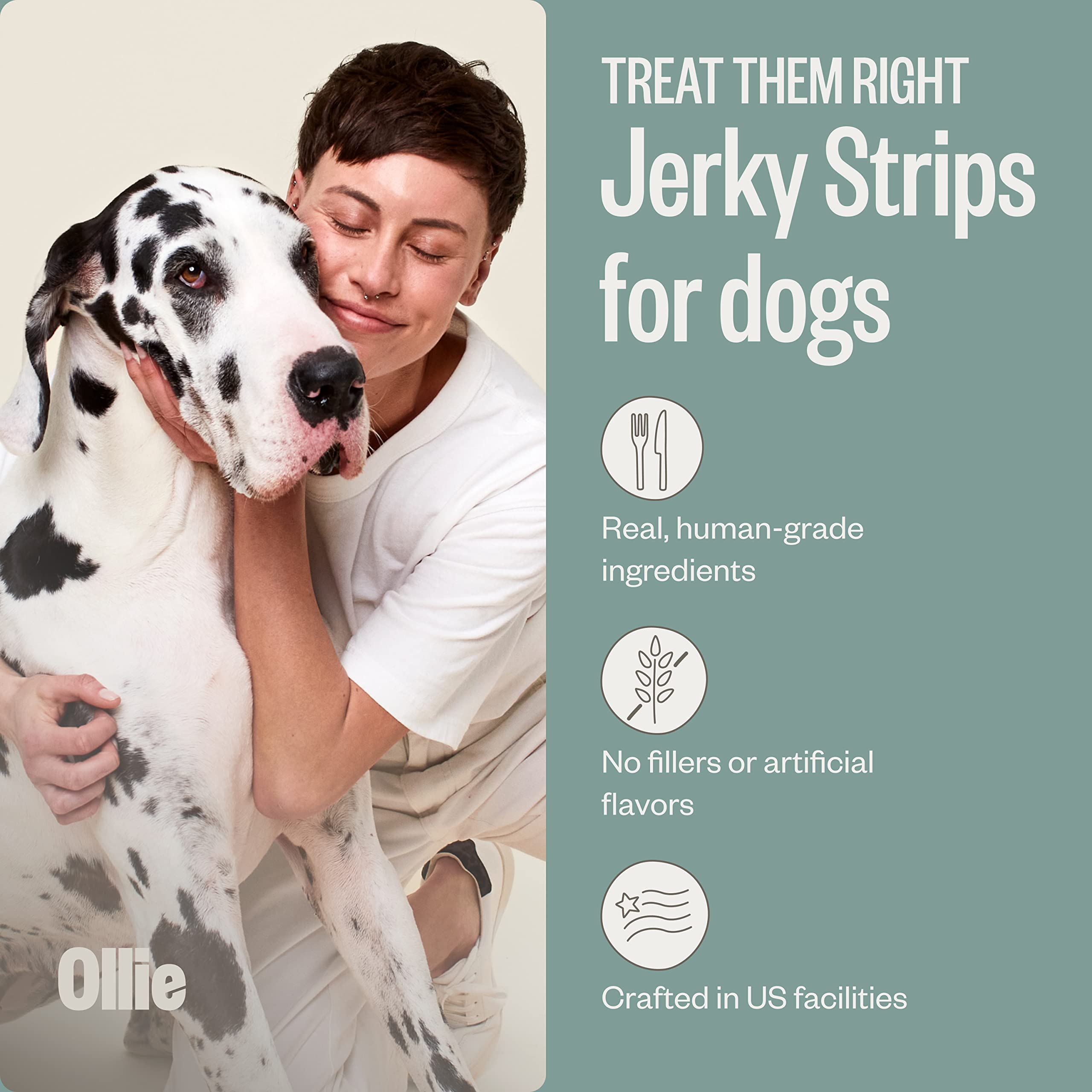 Ollie Chicken and Apple Jerky Dog Treats, 5 oz Pack of 1, All Natural, Healthy Snacks, Made with Real Meat, Human Grade, for Dog